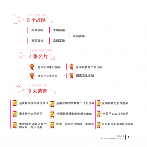 富裕投资指南